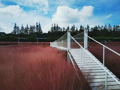 -嘉北郊野公园