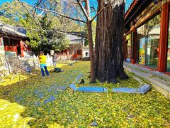 -潭柘寺景区