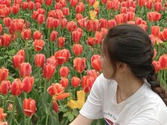 -石家庄市植物园