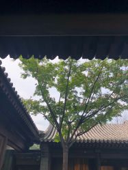 -花家怡园·宴会厅(簋街四合院总店)