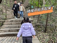 -紫金山山顶公园