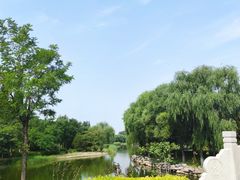 -大兴滨河森林公园