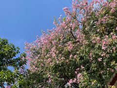 -锦江之星(广州海珠江泰路地铁站店)