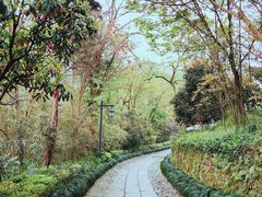 -法云古村