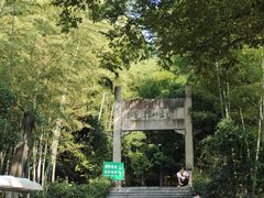 -紫金山山顶公园
