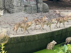-常州淹城野生动物世界