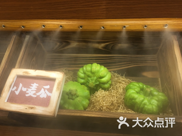 云海肴云南菜(久光百货店)进门食材展架-小麦瓜图片 第2728张