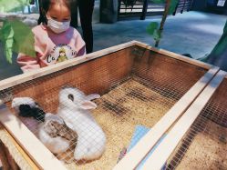 -酷嗒动物文化乐园(cutezoo西溪乐天城店)