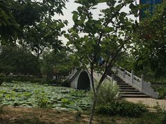 -御林古桑园