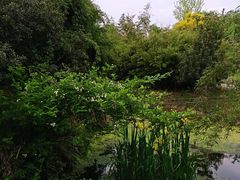 -白鹭湾湿地公园