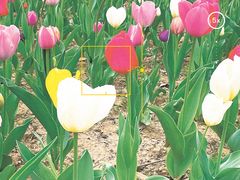 -郑州中国绿化博览园