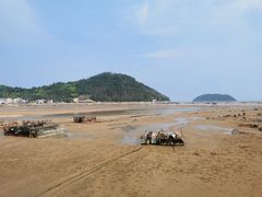 -小皓村
