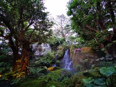 -Chom Cafe and Restaurant