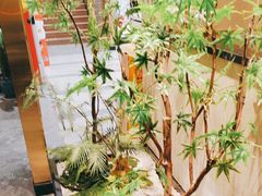 -刘胖子家常菜·蹄花焖藕(中南店)