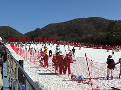 -大围山国家森林公园