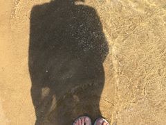 -碧海金沙