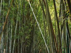 -烈士陵园(地铁站)