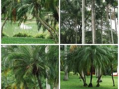 -人民公园(罗湖区)