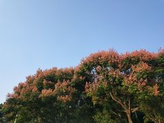 -仙岳公园
