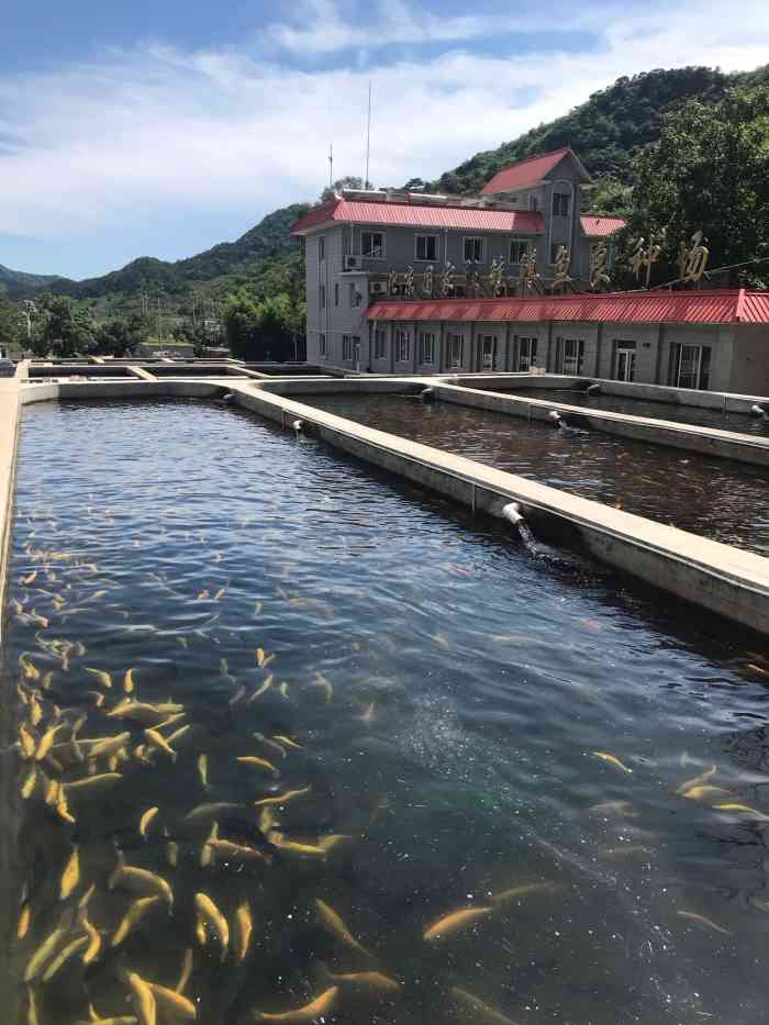 北京顺通虹鳟鱼度假村图片