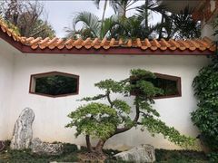 -深圳仙湖植物园