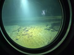 -白鹤梁水下博物馆