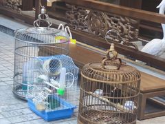 -蘭奢雅集·江浙菜(青山江滩店)