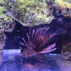 -Zoolung Zoolung动物主题公园(海信广场店)