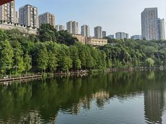 -重庆彩云湖湿地公园