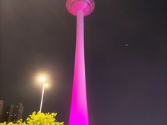 -辽宁电视塔