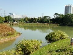 -福田红树林生态公园