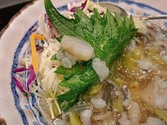 -鸟鹏烧鸟居酒屋(龙岗万科店)