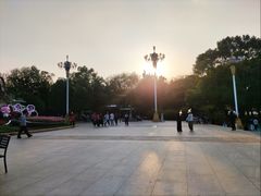 -海珠湖公园