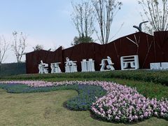 -上海滨江森林公园