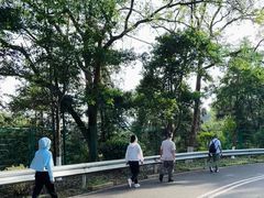 -七寨湖公园