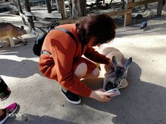 -可伦宾野生动物保护区