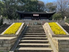 -苏州上方山国家森林公园
