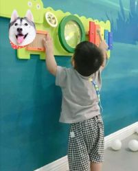 -万达宝贝王(成都锦华店)