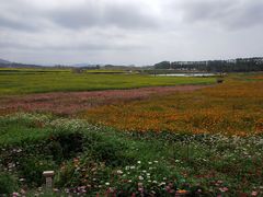 -光明小镇欢乐田园