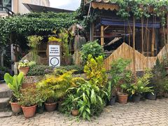-Jungle Kitchen