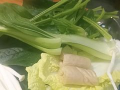-成老灶火锅鸡(平山店)