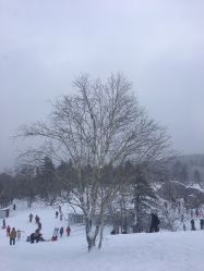 -大秃顶子山