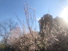 -金宫殿故址