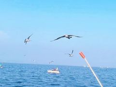 -大连海昌东方水城