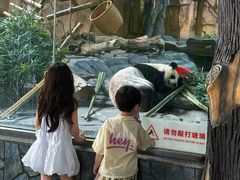 -泉州海丝野生动物世界