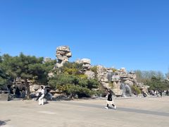 -石家庄市植物园