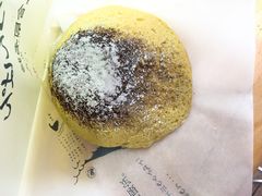 -富士山吉田線五合目