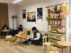 用餐区-柴迷FANS CLUB·柴犬狗咖·猫咖