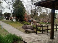 -白马涧龙池景区