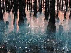-东湖落雁景区